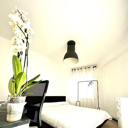 Apartamento Cebra Apartment Zaragoza Ngoại thất bức ảnh